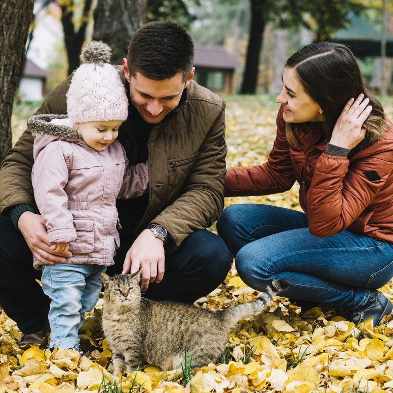 young-family-cat-park-with-autumn-foliage-fall-family-photography ideas Fall Family Photography Ideas: Capture Warm Moments