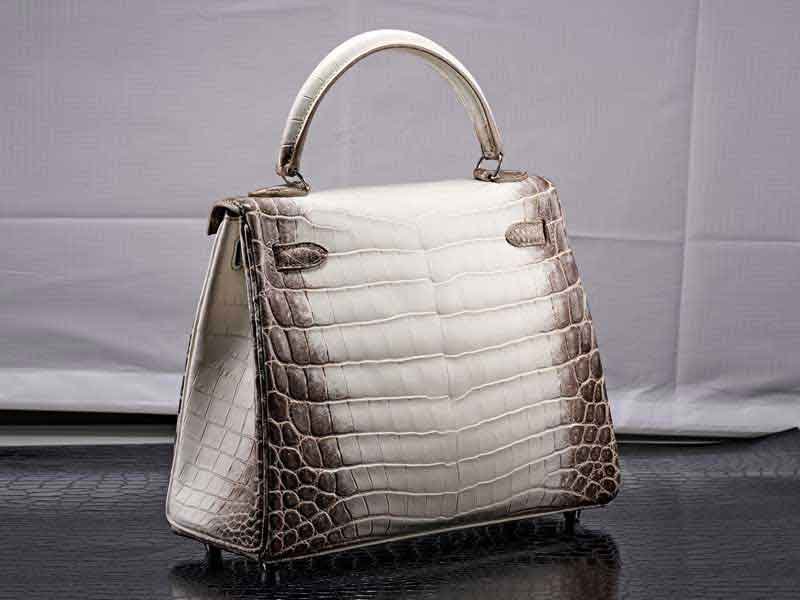 Best Ecommerce Photo Editing Services Provider in Australia - Women Hand bag photo editing - before image