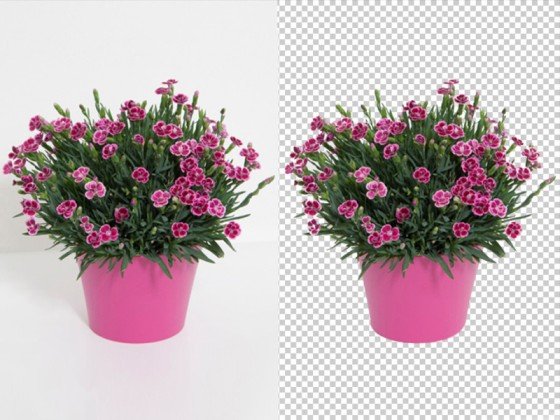 photo background removal service
